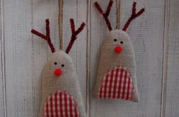 Rudolf - Brzuchol kraciasty