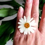 Komplet z margaretkami ogrodowymi - 