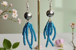 Niebieskie ośmiorniczki