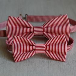 Zestaw much - Tata i syn