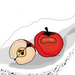Czerwone jabłka - grafika do kuchni lub jadalni - Z bliska