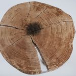 Stolik dębowy z plastra drewna - 