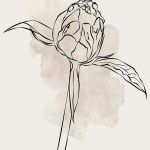 ZESTAW PLAKATÓW 50x70 cm Botanicznych Lineart (set119) - produkt