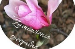 Zamówienie dla p. Kamili