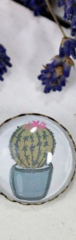 Broszka z domowym kaktusem