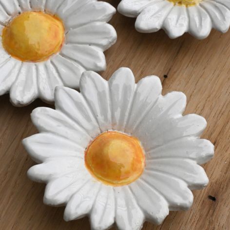 Margaretka z profilowanymi płatkami