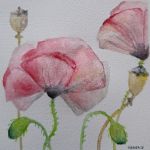 Kwiaty-akwarela formatu 15/15 cm  - 