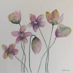 Kwiaty-akwarela formatu 20/20 cm  - 