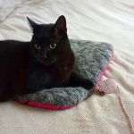 Myszka zabawka dla kota z kocimiętką wytrzymała - myszka dla kota handmade
