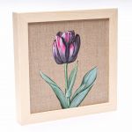Tulipan kwiat malarstwo płótno rama drewniana - Tulipan na płótnie oprawiony w drewnianą ramę