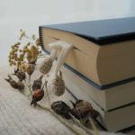 Zakładka do książki OWIECZKA - 