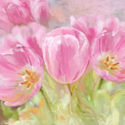 Obraz na płótnie kwiaty tulipany 80 x 50