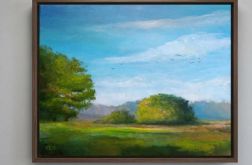 Wiosna-obraz akrylowy formatu 40/50 cm