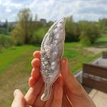 Biała broszka z piórkiem prezent dla Anioła - Tako, obok którego nie możemy przejść obojętnie.