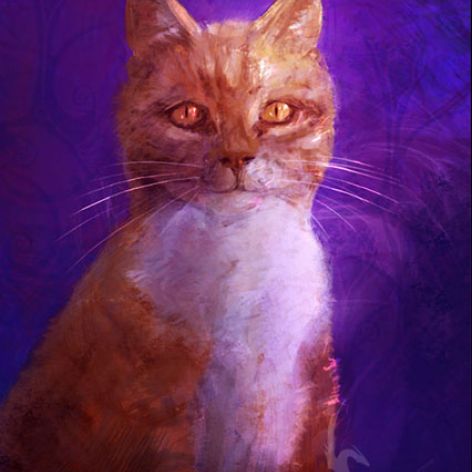 Obraz - Indygo kot - obraz z kotem - płótno