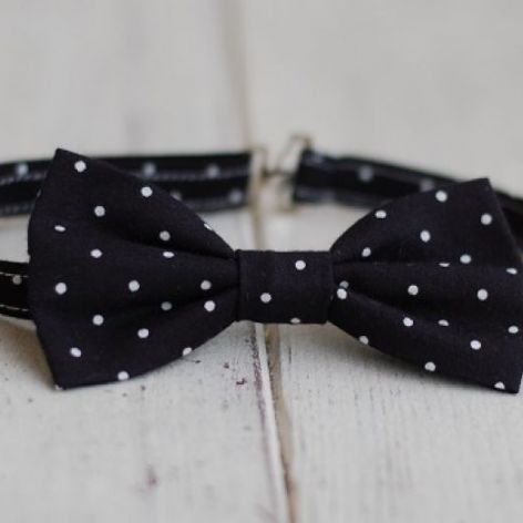 Mucha chłopięca - Czarna w kropeczki