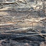 Burza w Szklance Wody - 