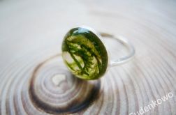 Zatopek pierścionek z mchem