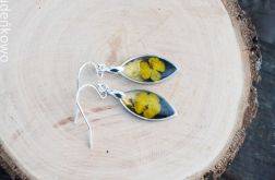 Zatopek kwiat Jaskier, kolczyki