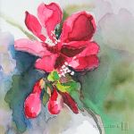 Kwiat pigwowca - obrazek malowany