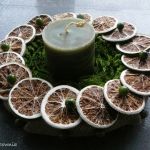 Zielona świeca wśród limonek i koralików - odsłona druga - 