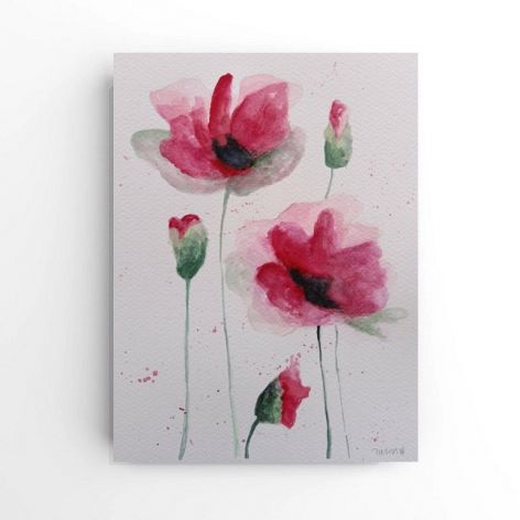 Maki 4-akwarela formatu 24/18 cm 