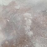 Pył na wietrze I 30x40 cm - 