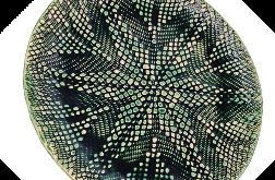 Talerz Ceramiczny Zielony Ręcznie Robiony Średnica 25 cm
