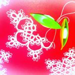 Śnieżynki FRYWOLITKi gwiazdki 15cm - frywolitka , frywolitki , tatting christmas , frivolite ,Occhi-Sternchen ,