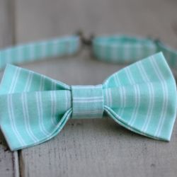 Mucha chłopięca - Miętowa w paseczki