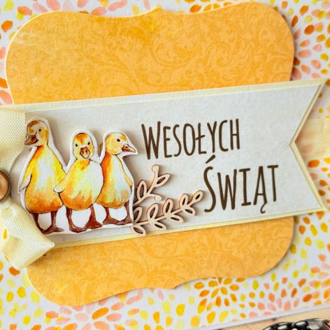 Z kaczuszkami (vol.1)