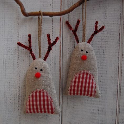 Rudolf  - Brzuchol kraciasty