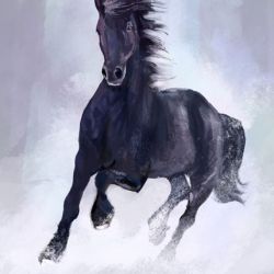 Obraz - Czarny koń - płótno - malowany
