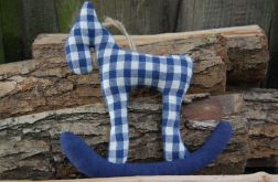 Kraciasty konik na biegunach