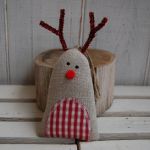 Rudolf  - Brzuchol kraciasty - 