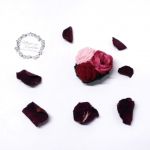 Jesienne róże - Szydełkowa broszka z różami