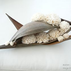 Kwiaty ukryte w skorupie