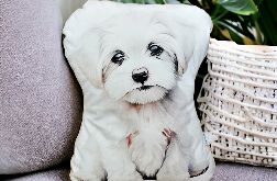 Poduszka z pieskiem z psem piesek maltańczyk