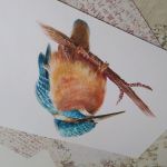 Zimorodek, rysunek kredka A4 - Kolorowy zimorodek, rysunek A4