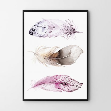 Plakat, obrazek boho piórka 50X70 B2