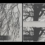 Obraz na płótnie - DRZEWA CZARNO-BIAŁY - 120x80 cm (63001) - ZAPISKI MATKI NATURY - NOWOCZESNY OBRAZ NA PŁÓTNIE - 120X80 CM