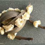 Kwiaty w pękniętej skorupie - 