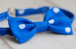 Muszka chłopięca - Atramentowa w kropki