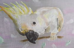 Obraz KAKADU 29 x 29 akryl na podobraziu dla LOGOPEDY