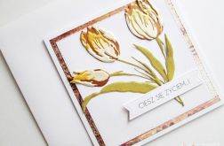 Kartka UNIWERSALNA - tulipany
