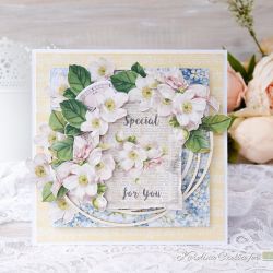 Special for you Special for you