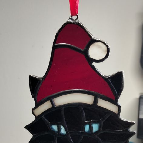 Kotek w czapce Mikołaja