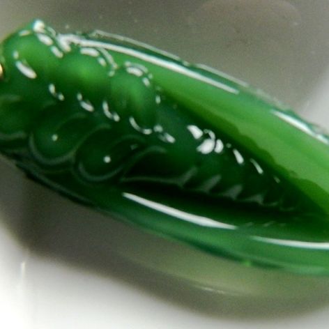 Cykada symbol długowieczności zielony jadeit