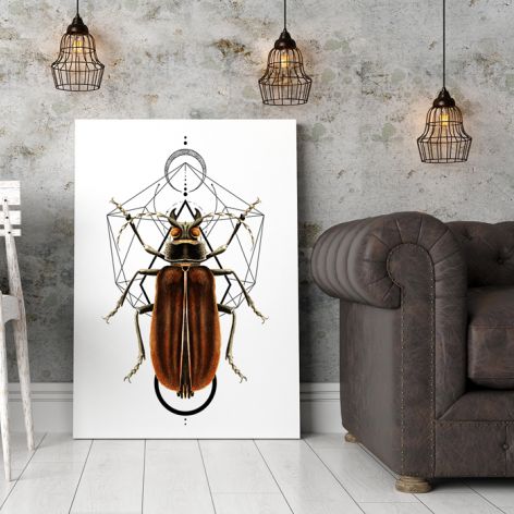 Plakat Bug 50X70 B2