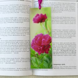 Zakładka do książki - kwiaty piwonii 